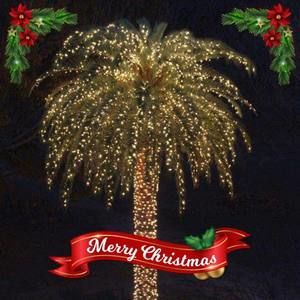 Meet your Posher, Mary elizabeth